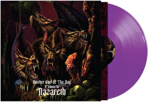 Various - Another Hair Of The Dog - A Tribute To Nazareth B LP