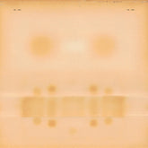 Dr. Dog - S/T LP