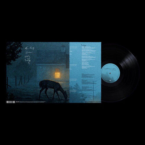Dermot Kennedy - I've Told The Trees Everything LP (United Kingdom - Import)