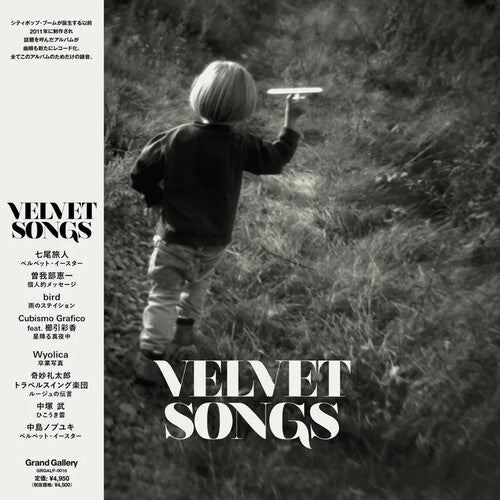 Various Artists - Velvet Songs (Various Artists) LP