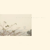 Wild Nothing - Golden Haze LP (Gold Colored Vinyl)