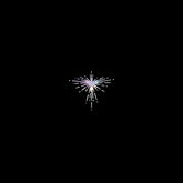 Karen O & Danger Mouse - Lux Prima LP