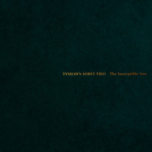 Tyshawn Sorey Trio - The Susceptible Now 2LP