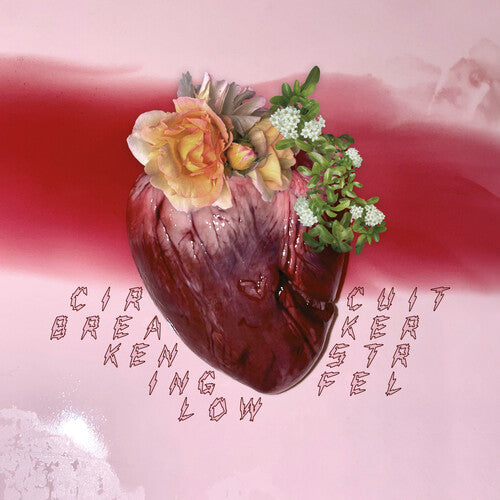 Ken Stringfellow - Circuit Breaker LP