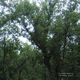 Julianna Barwick - The Magic Place (2024 Remastered) LP