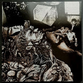 the album cover for Nurse With Wound - Merzbild Schwet