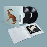 Vashti Bunyan - Lookaftering 2LP (Booklet, Expanded Version, Anniversary Edition)