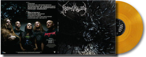 Abnormality - Mechanisms Of Omniscience - 3mm Spinned Sleeve LP (Germany - Import)