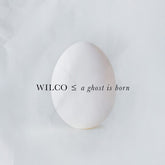 Wilco - A Ghost Is Born 2LP