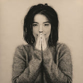 Bjork - Debut CD (Jewel case)