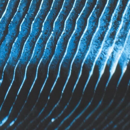 Monolake - Gravity 2LP