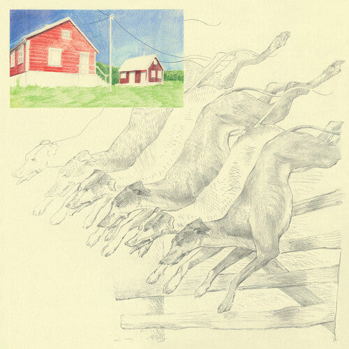 Quickly Quickly - I Heard That Noise - Green LP (Colored Vinyl, Green)