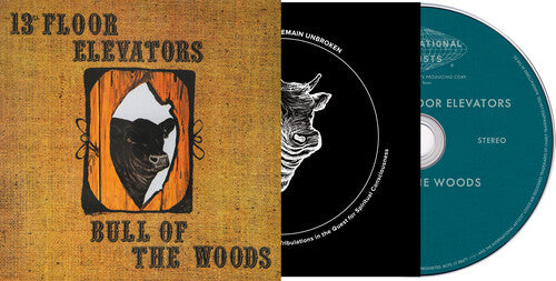 The 13th Floor Elevators - Psychedelic Sounds Of The 13th Floor Elevators CD
