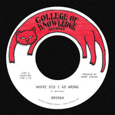 Brenda - Where Did I Go Wrong B/W Family LP