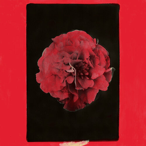 Activity - A Thousand Years in Another Way LP (Explicit Lyrics)  (Preorder: Ships June 06, 2025)