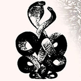 Bardo Pond - Volume 4 & 5 2LP (Gatefold Lp Jacket)