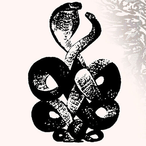 Bardo Pond - Volume 4 & 5 2LP (Gatefold Lp Jacket)