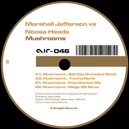 Mushrooms (2025 Remixes) LP