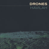 The Drones - Havilah 2LP  (Preorder: Ships June 27, 2025)