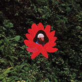 Lionmilk - When The Flowers Bloom LP