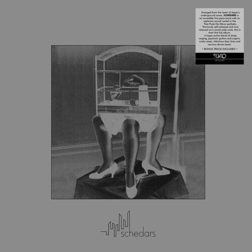 Schedars - Schedars LP  (Preorder: Ships May 23, 2025)