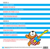 Andrew Bissell - Lullaby Renditions Of Bruce Springsteen - Blue LP (Colored Vinyl, Blue)