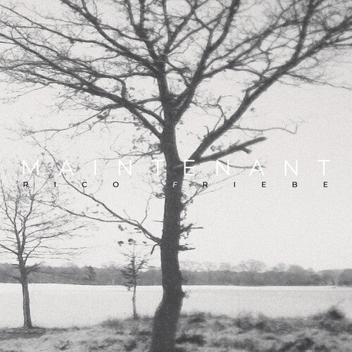 Rico Friebe - Maintenant LP