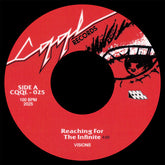 Visions - Reaching For The Infinite B/w Back To Fire LP
