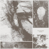Park Jiha - All Living Things LP  (Preorder: Ships June 06, 2025)