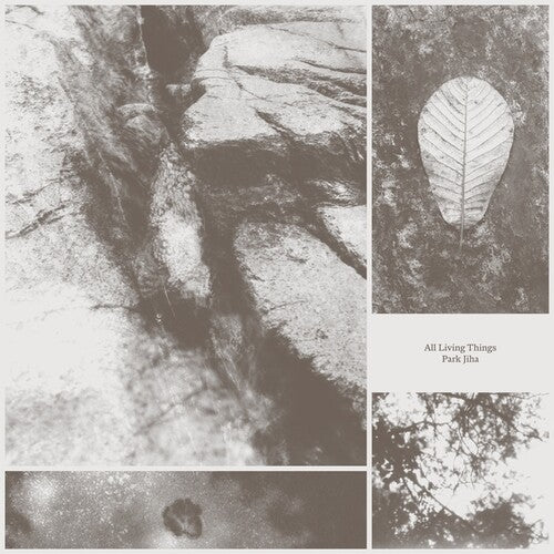 Park Jiha - All Living Things LP  (Preorder: Ships June 06, 2025)