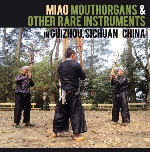 Various Artists - Miao Mouthorgans And Other Rare Instruments In Guizhou, Sichuan, China LP