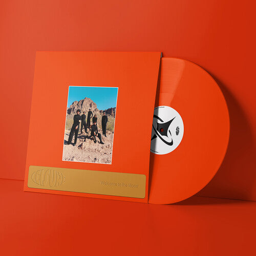 Leisure -  Welcome to the Mood LP