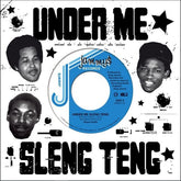 Wayne Smith - Under Me Sleng Teng 7"