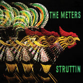 The Meters - Struttin CD (Holland)