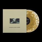 Citizen - Everybody Is Going to Heaven 2LP (10 Year Anniversary Edition, Gold Colored Vinyl)