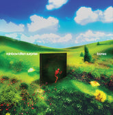 Rainbow Kitten Surprise -  Bones CD (Softpack)