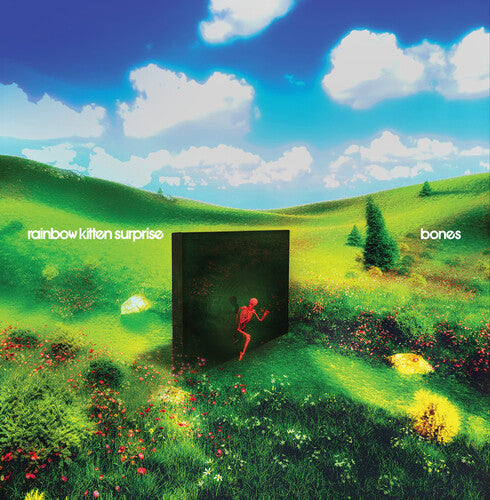Rainbow Kitten Surprise -  Bones CD (Softpack)