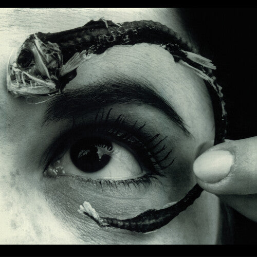 Mr. Bungle - Disco Volante 2LP (RKTBR25) (Clear Blue Vinyl, Brick & Mortar Exclusive) (Preorder: Ships October 10, 2025)