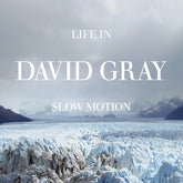 David Gray - Life in Slow Motion LP (Blue Colored Vinyl, 20th Anniversary Edition) (Preorder: Ships November 7, 2025)