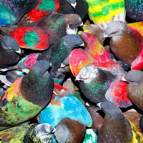Blawan - Sickelixir LP (Preorder: Ships October 17, 2025)