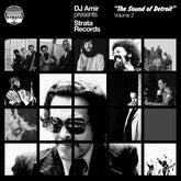 DJ Amir - Dj Amir Presents Strata Records: The Sound Of Detroit Vol. 2 3LP