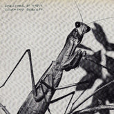 the album cover for Courtney Barnett - Creature of Habit