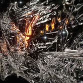 the album cover for Good Tiger - Most Negative Day Of The Year