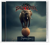 the album cover for Bad Matrix - Dangerous Game