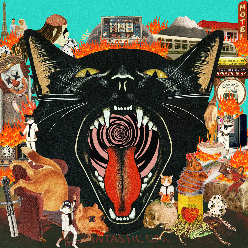 the album cover for Fantastic Cat - Cat Out of Hell