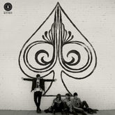 the album cover for Butch Walker  & The Black Widows - Spade - Gold Black Ice (Blk) [Colored Vinyl] (Gol)