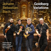 the album cover for Baborak, Radek - Johann Sebastian Bach: Goldberg Variations