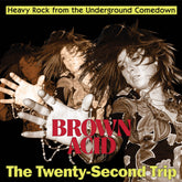 the album cover for Brown Acid - Twenty-Second Trip / Various - Brown Acid - Twenty-Second Trip / Various