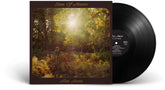 the album cover for Alex Amen - Sun Of Amen