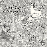 the album cover for Of Montreal - Aethermead